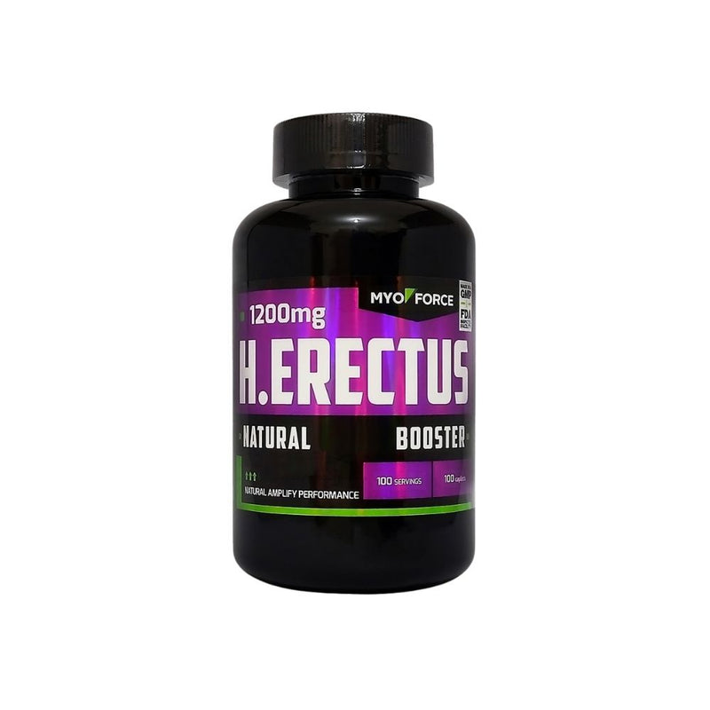 H.Erectus 2 