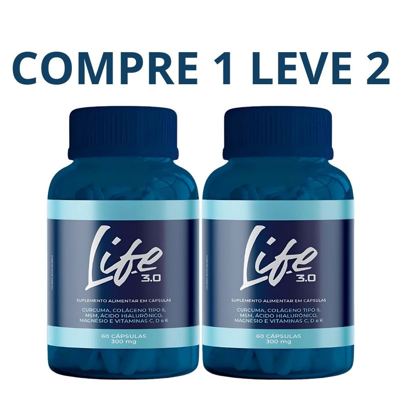 Life3.0